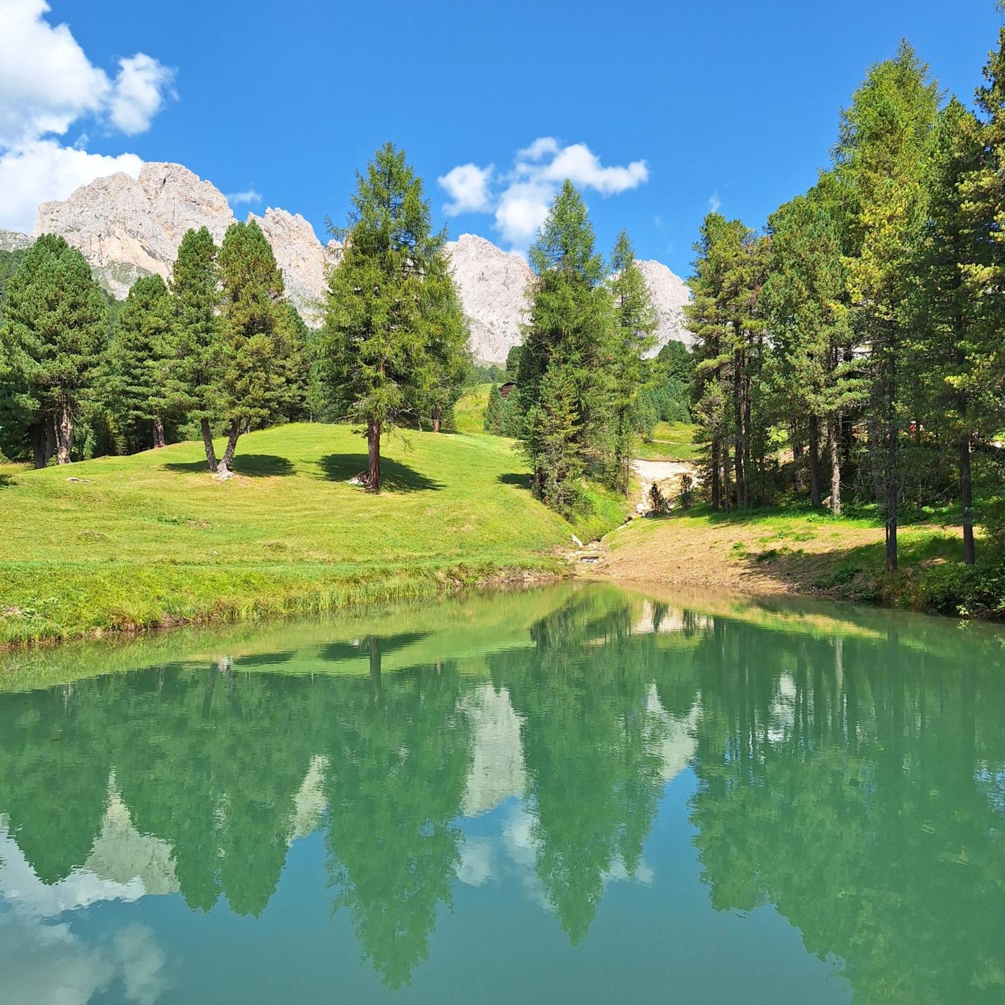 Apartment Romana Selva di Val Gardena Dış mekan fotoğraf